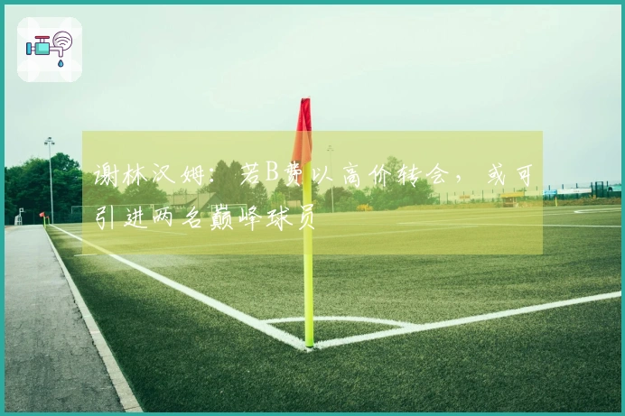 谢林汉姆：若B费以高价转会，或可引进两名巅峰球员