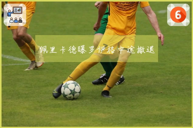 佩里卡德曝罗伊格中途撤退